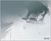 28801alsh3er.gif