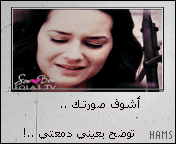28803alsh3er.gif