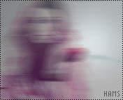 28832alsh3er.gif