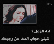 28834alsh3er.gif