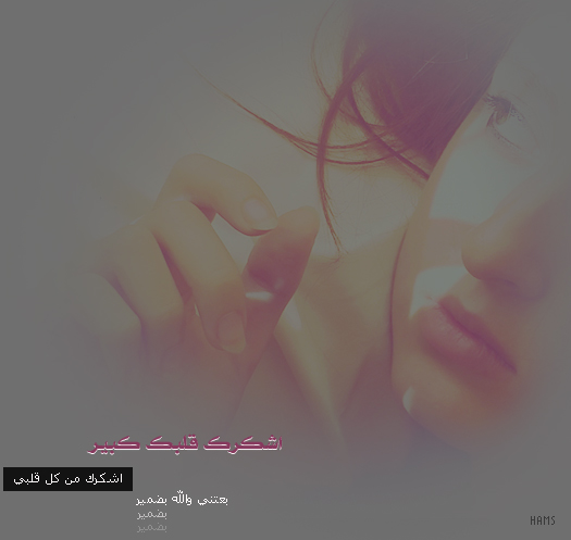 28842alsh3er.jpg