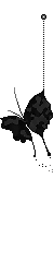 28917alsh3er.gif