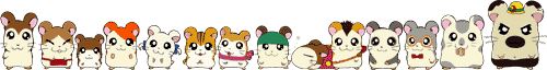 28926alsh3er.gif