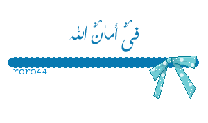 28978alsh3er.gif