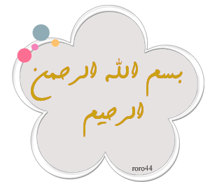 29005alsh3er.gif