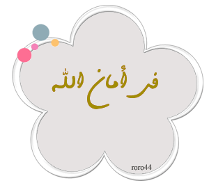 29006alsh3er.gif