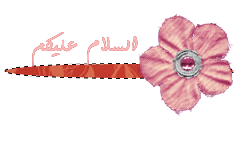 29009alsh3er.gif