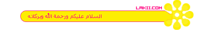 29081alsh3er.gif