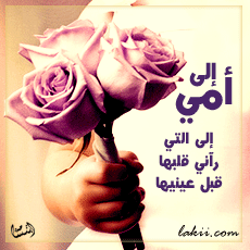 29414alsh3er.gif