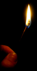 29421alsh3er.gif