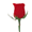 29427alsh3er.gif