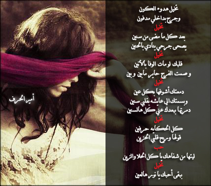 29440alsh3er.jpg