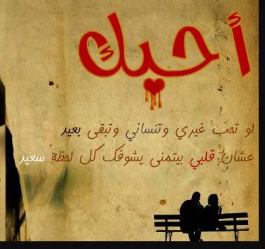 29457alsh3er.jpg