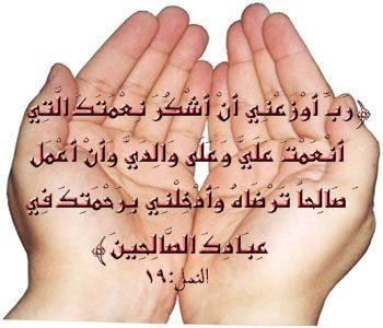 2983alsh3er.jpg