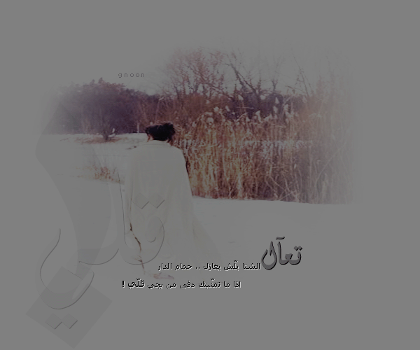 30022alsh3er.gif