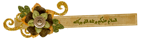 30155alsh3er.jpg