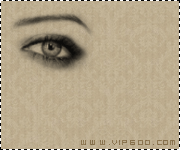 30312alsh3er.gif
