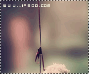 30361alsh3er.gif