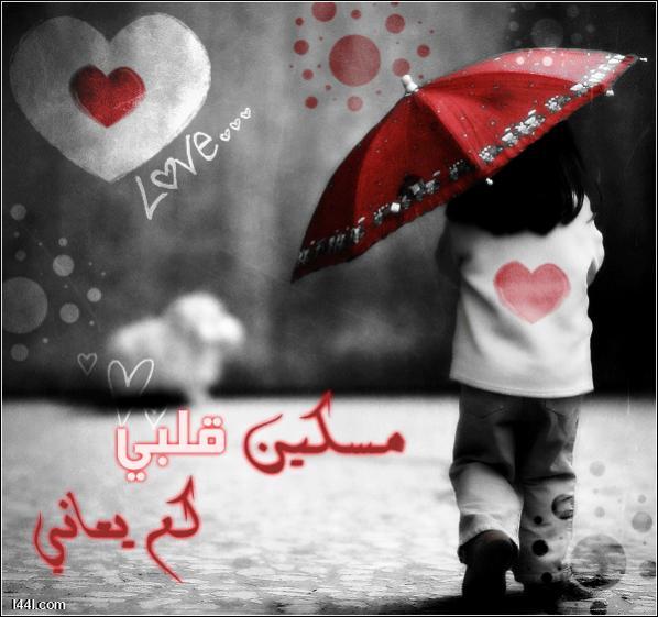 30411alsh3er.gif