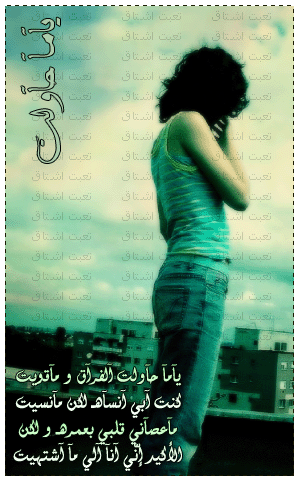 30412alsh3er.gif