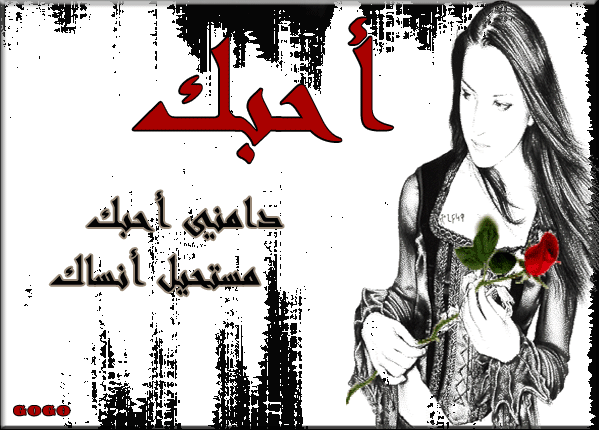 30413alsh3er.gif