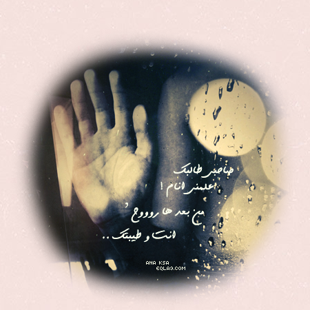 30415alsh3er.gif