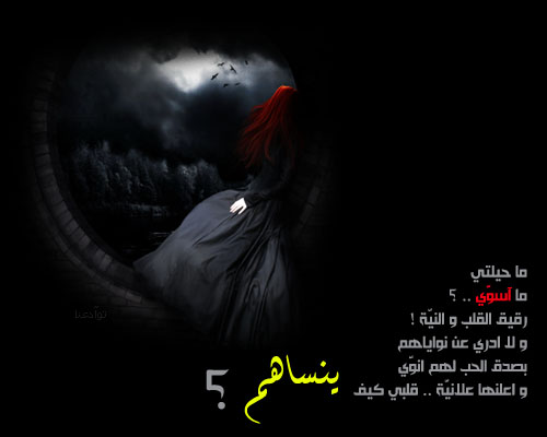 30422alsh3er.jpg