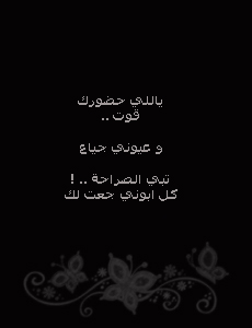 30428alsh3er.jpg