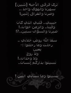 30430alsh3er.jpg