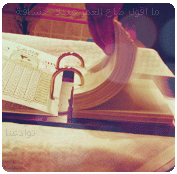 30431alsh3er.jpg