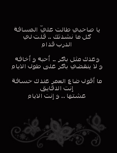 30432alsh3er.jpg