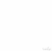 30443alsh3er.jpg