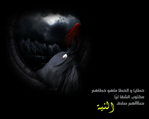30444alsh3er.jpg