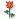 30704kobani.gif