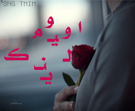 3080alsh3er.gif