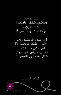 3090alsh3er.gif