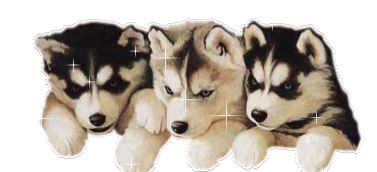 33792kobani.gif