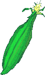 34493kobani.png