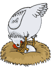 34495kobani.png