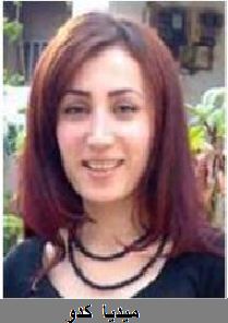 35317kobani.png