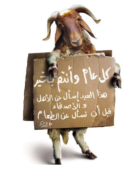 3624alsh3er.jpg