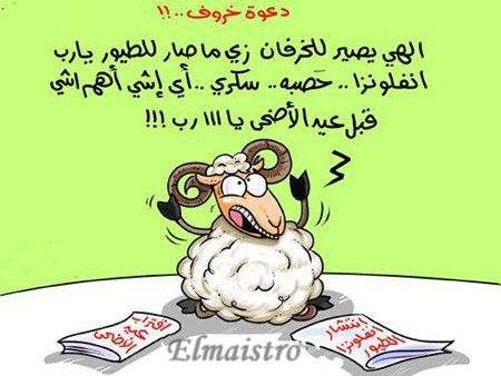 3633alsh3er.jpg