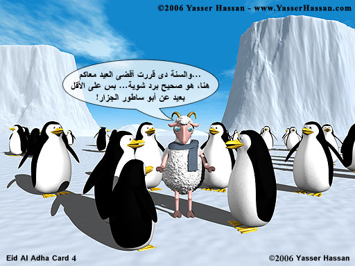 3634alsh3er.jpg