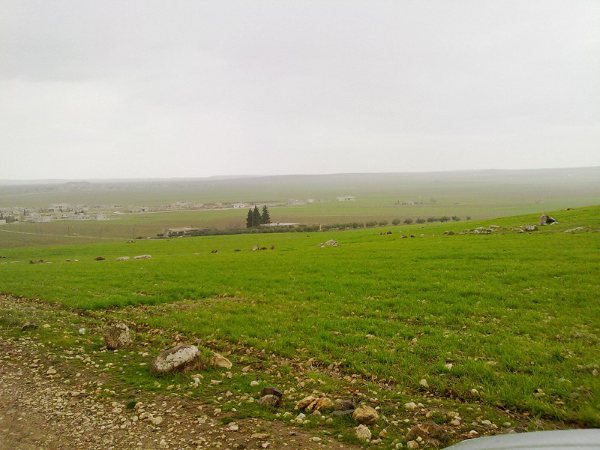 38910kobani.jpg