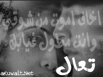 4011alsh3er.jpg