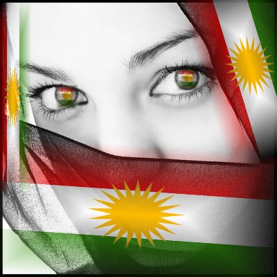 40467kobani.jpg