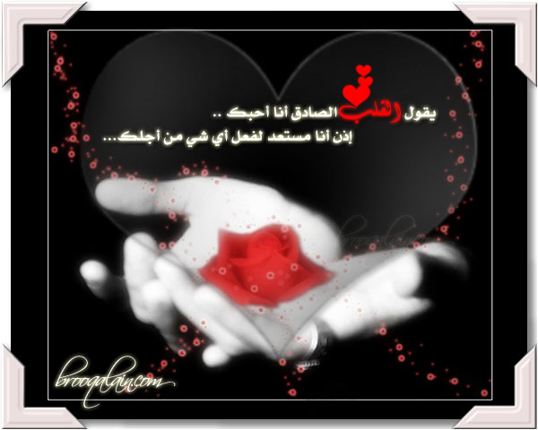 4057alsh3er.jpg