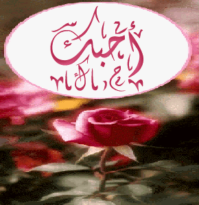 4073alsh3er.gif