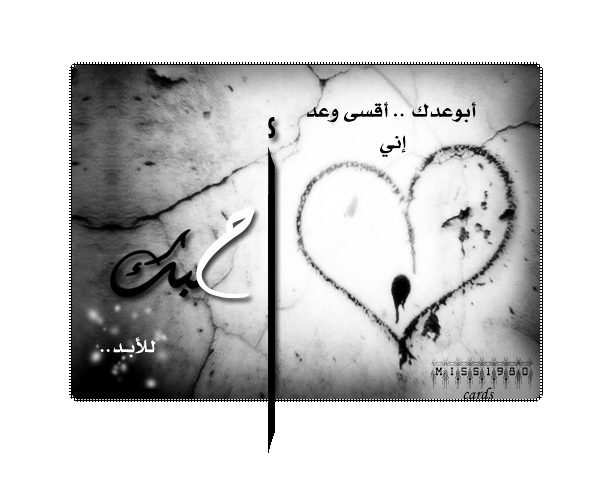 4077alsh3er.gif