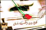 4121alsh3er.jpg